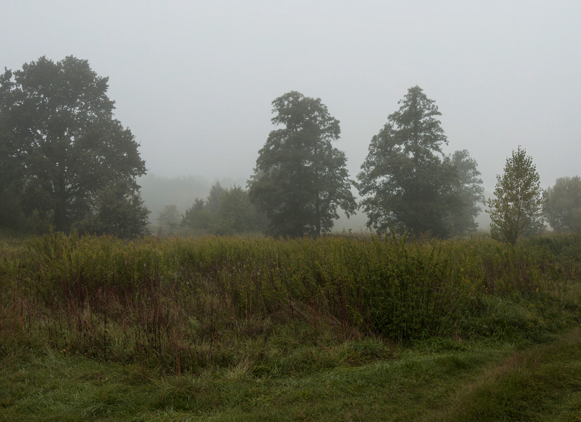 463 — Скачать