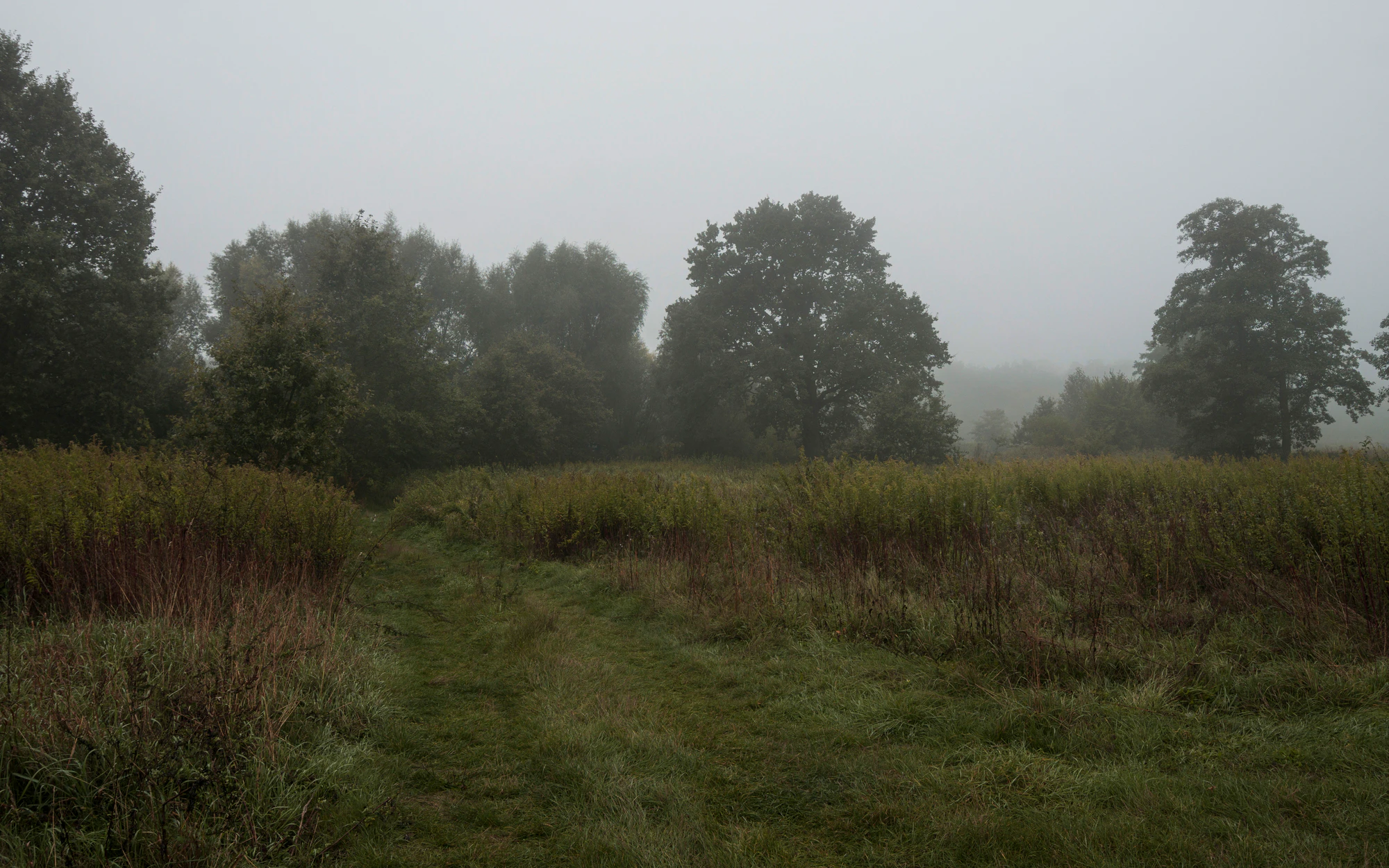 464 — Скачать