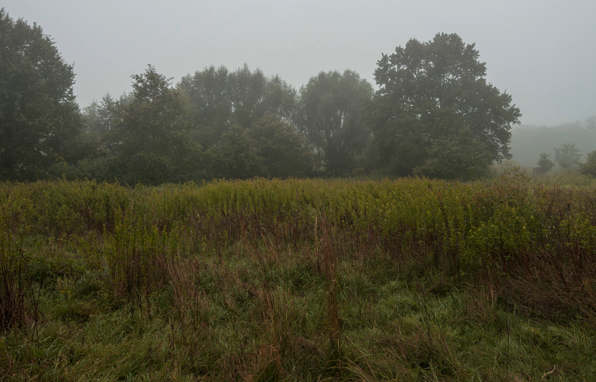 465 — Скачать