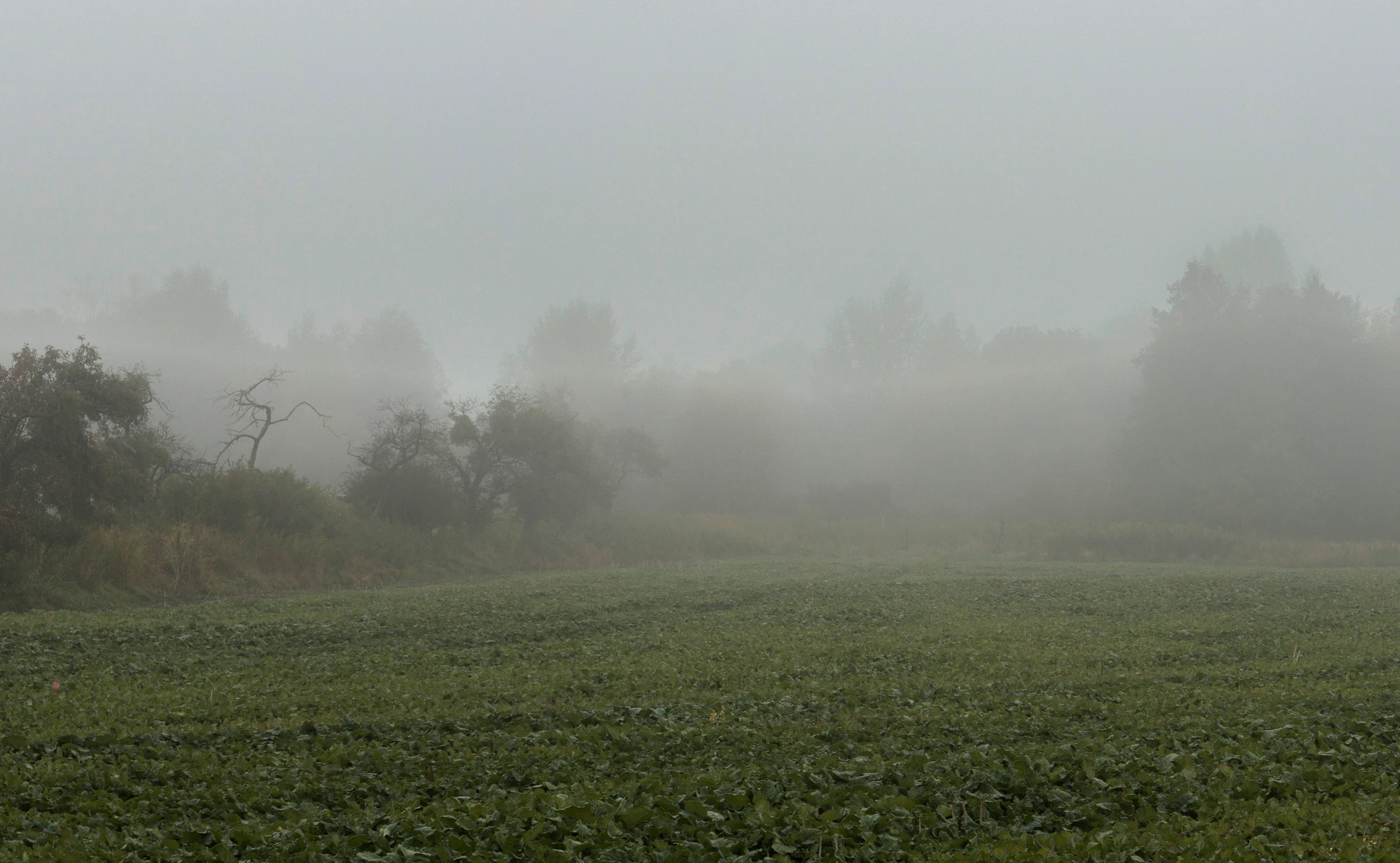 473 — Скачать