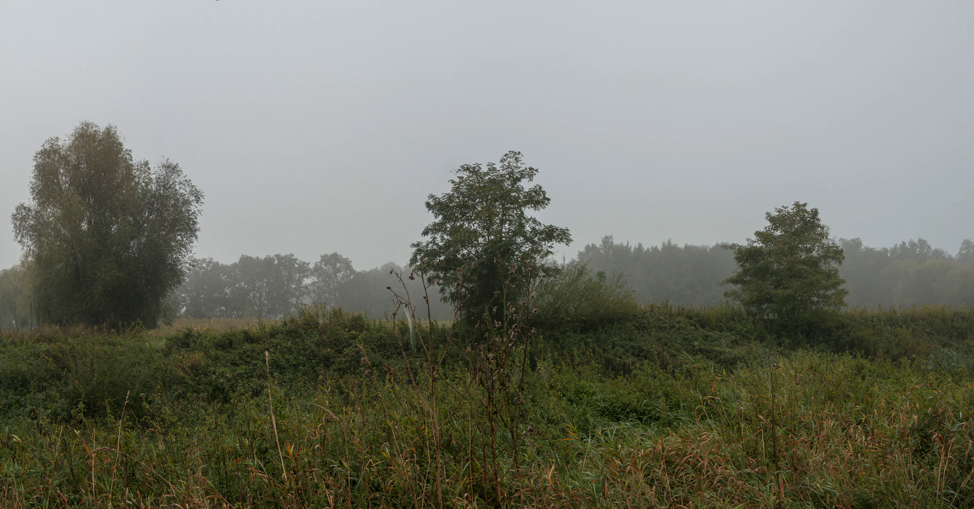 476 — Скачать