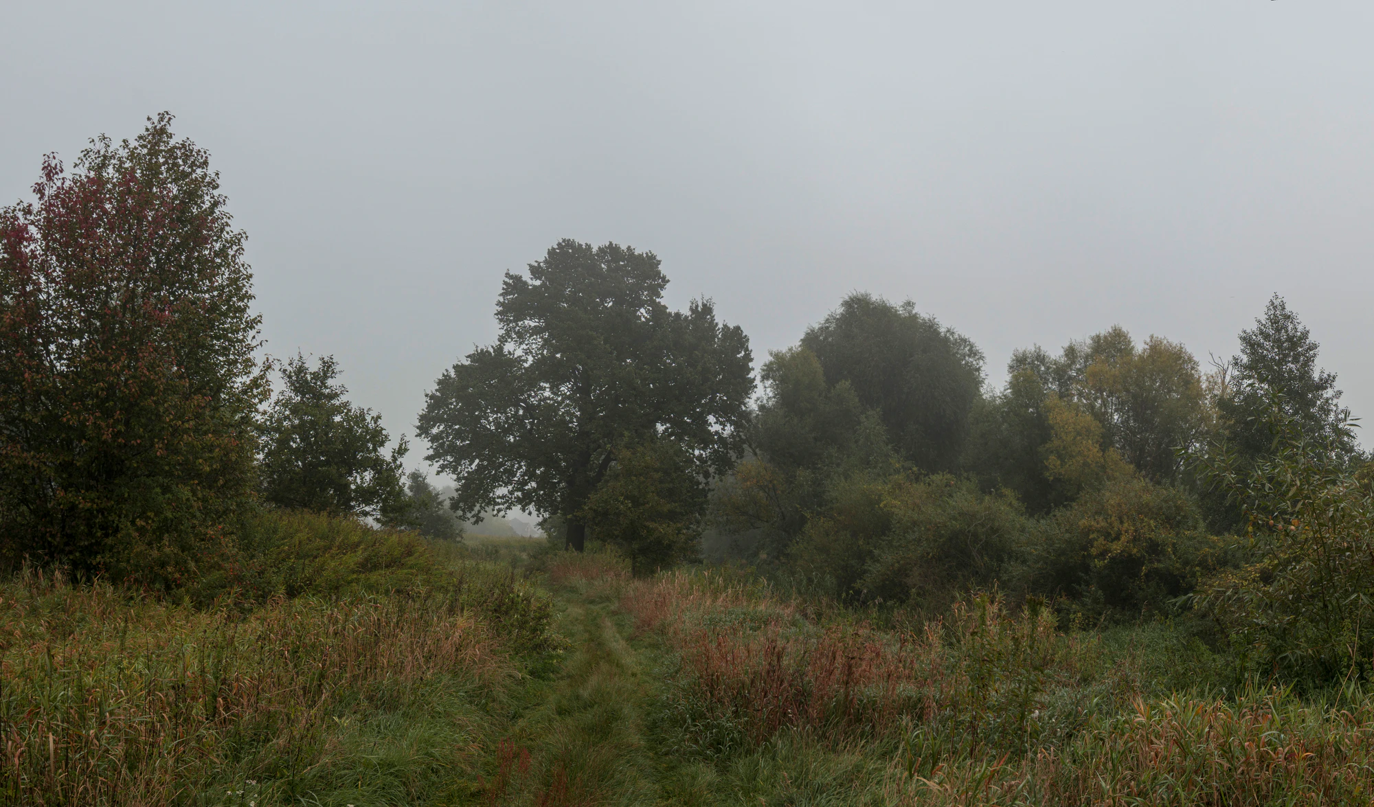 477 — Скачать