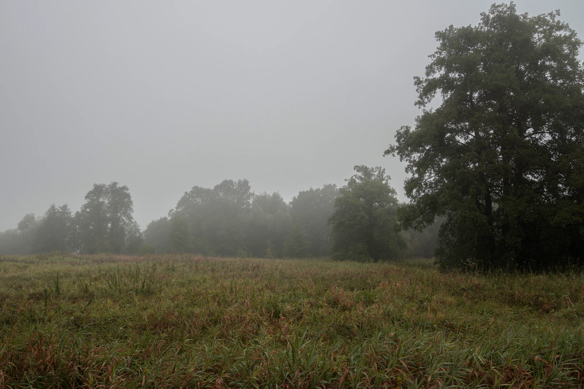 478 — Скачать