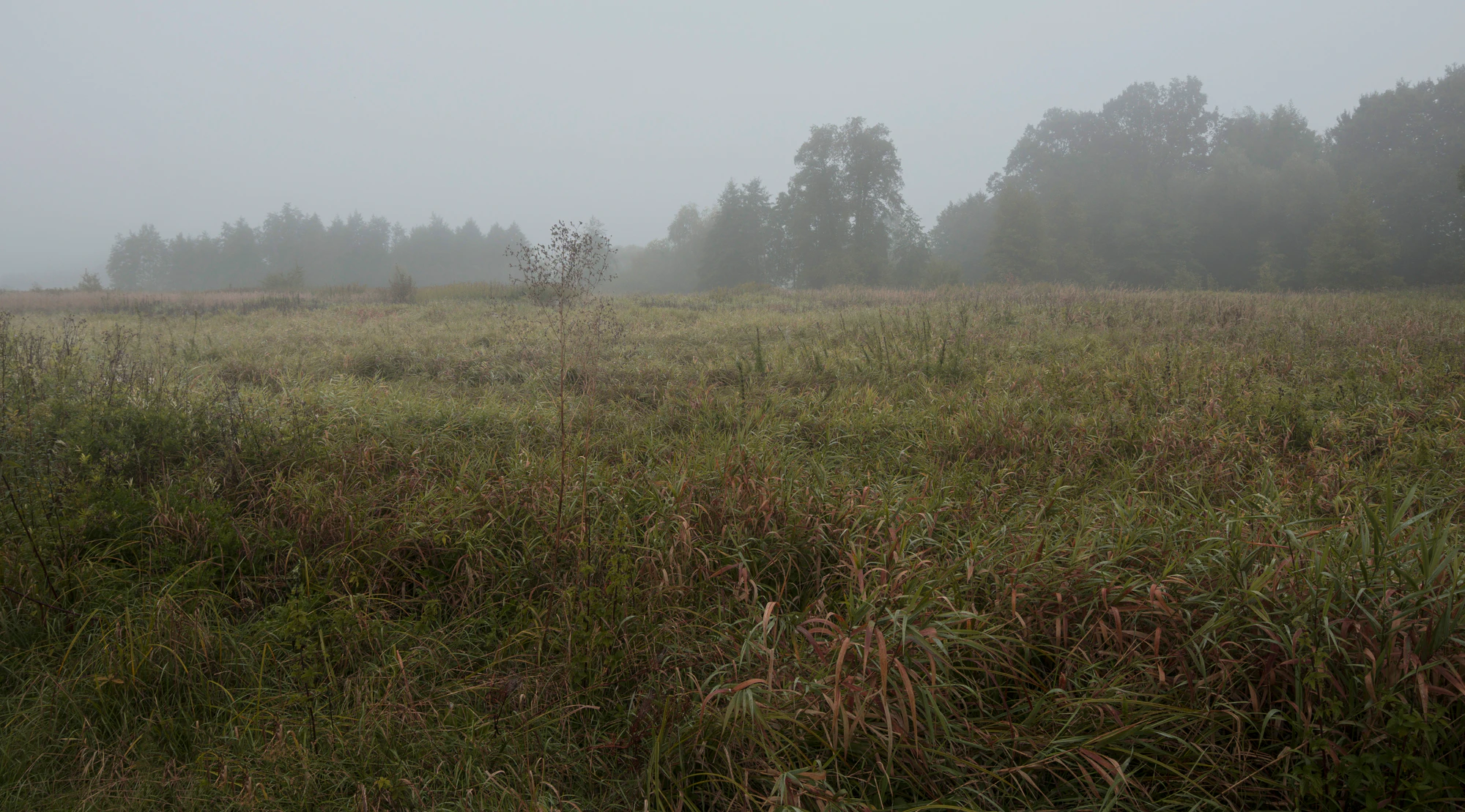 480 — Скачать