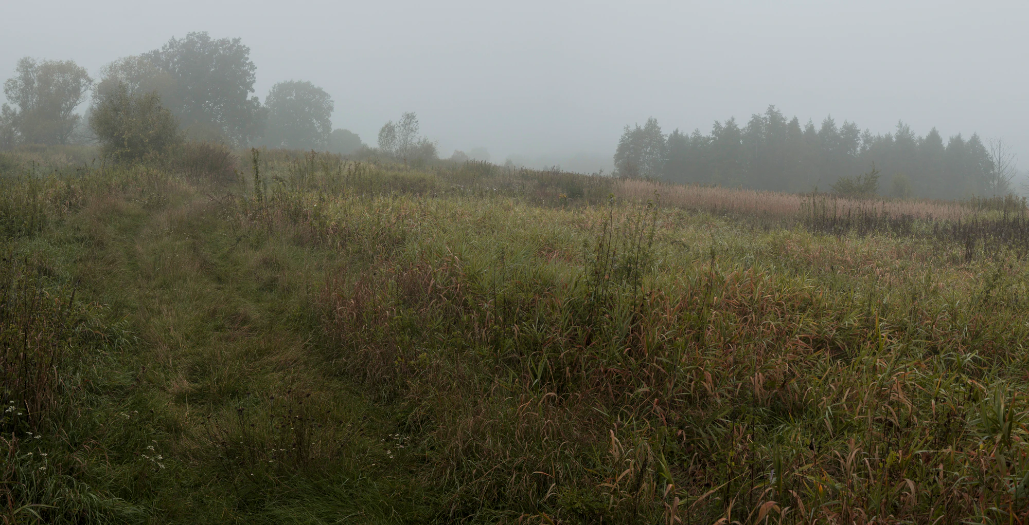 482 — Скачать