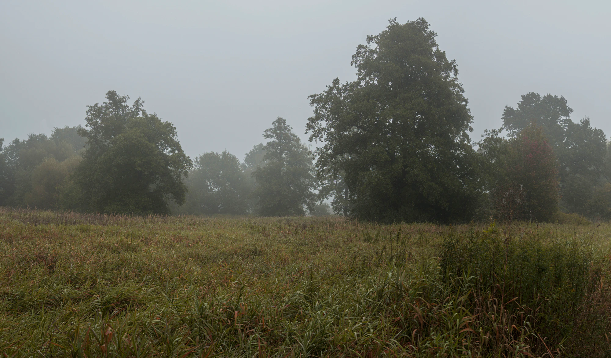 483 — Скачать