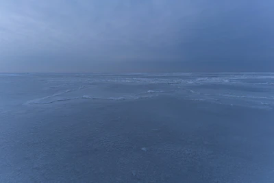005 — Скачать