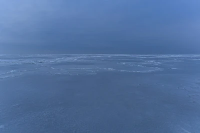 006 — Скачать