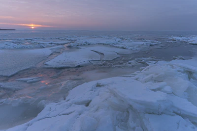 221 — скачать