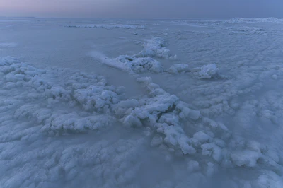 231 — скачать