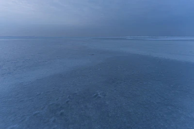 238 — скачать