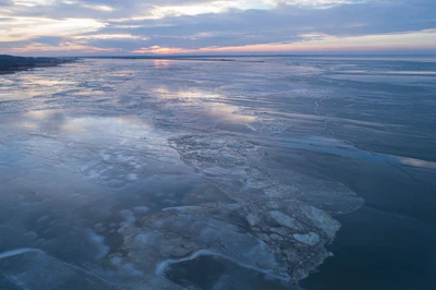 239 — скачать