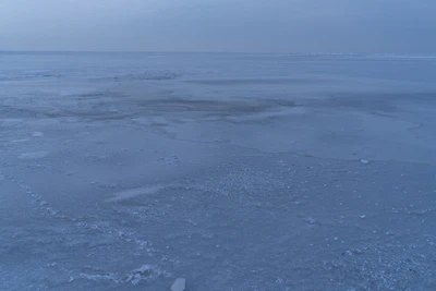 241 — скачать