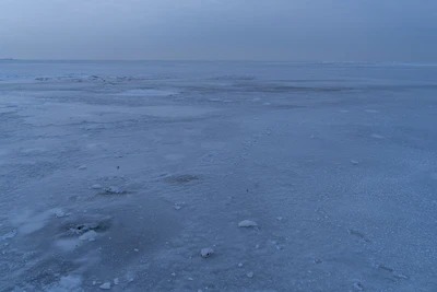 242 — скачать