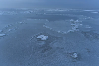 244 — скачать