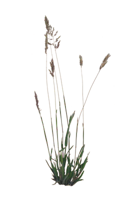 012 — Скачать
