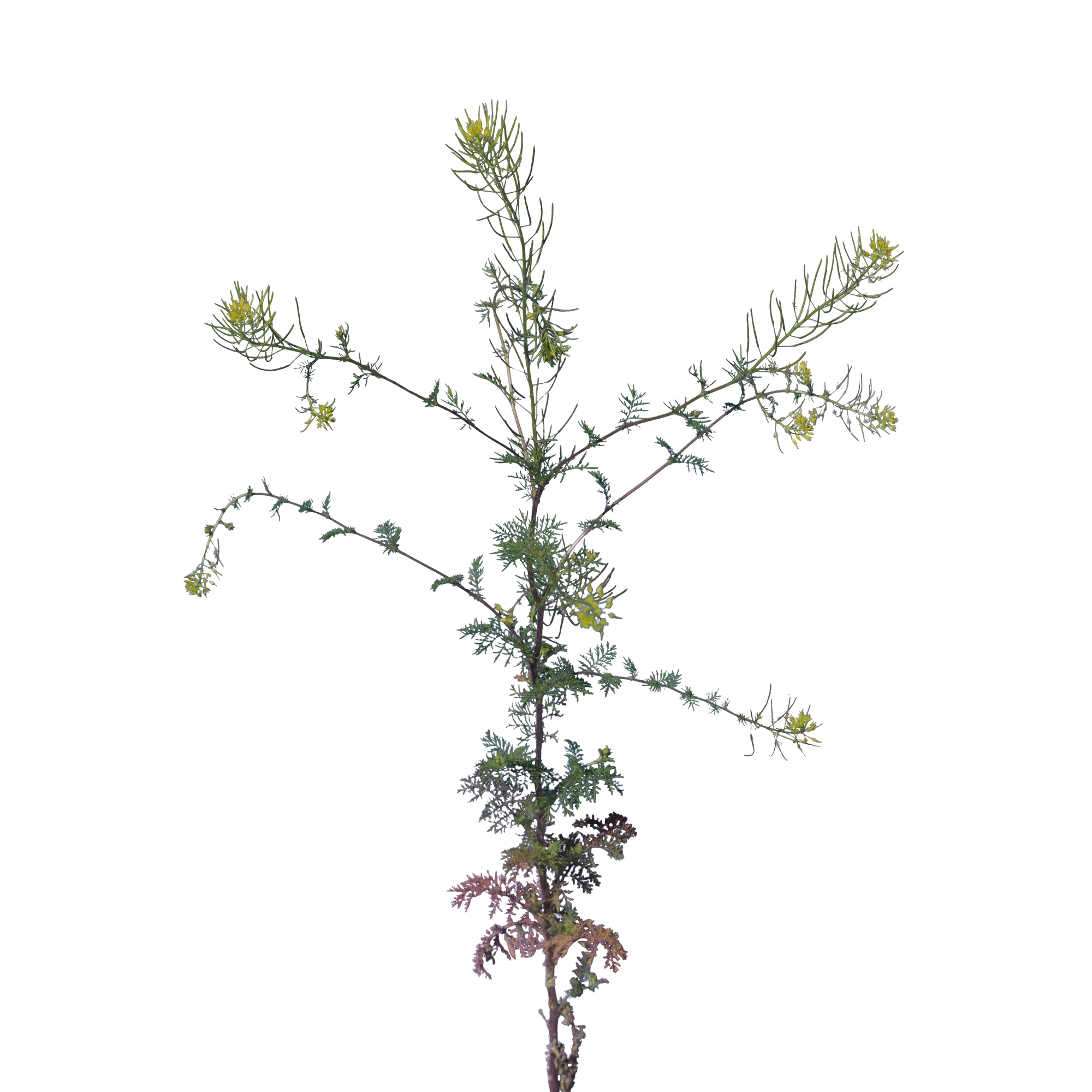 019 — Скачать
