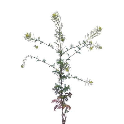 019 — Скачать