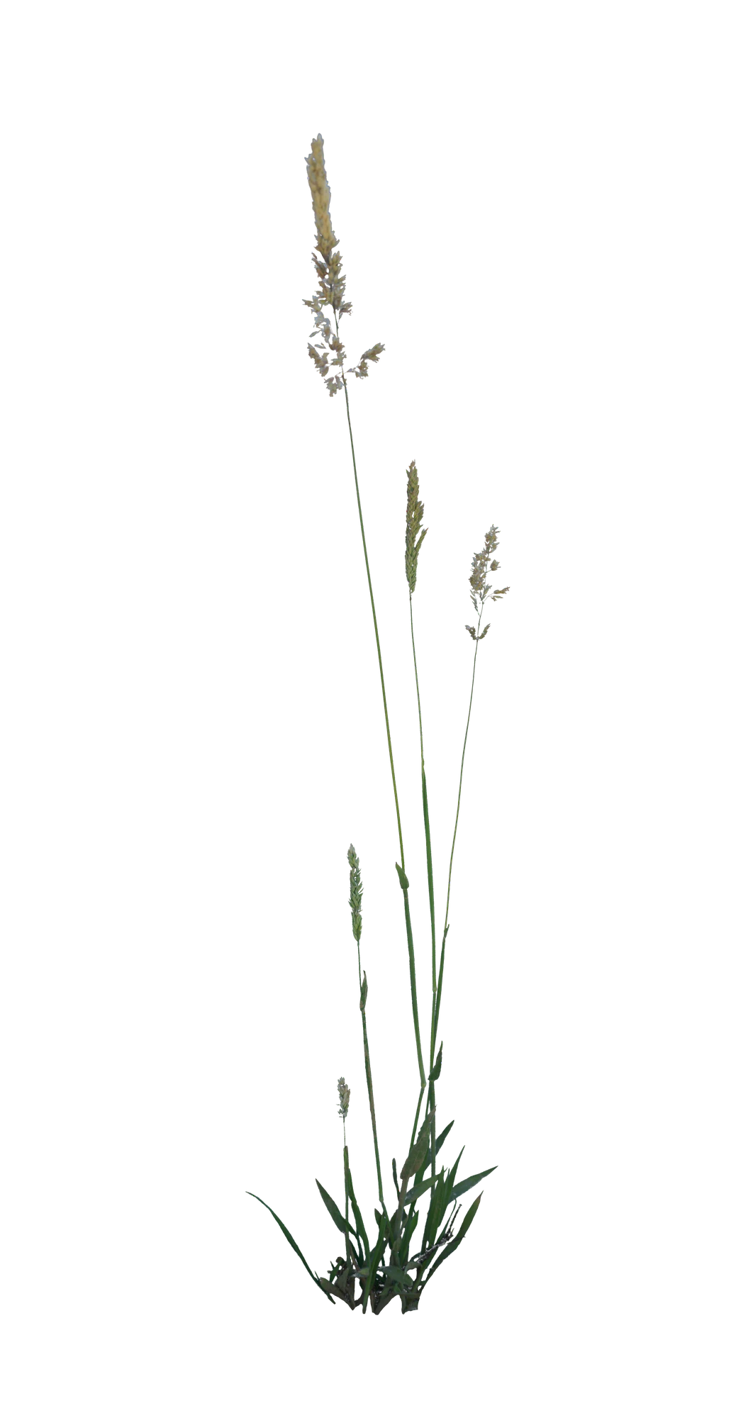 023 — Скачать