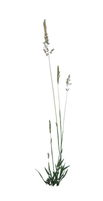 023 — Скачать