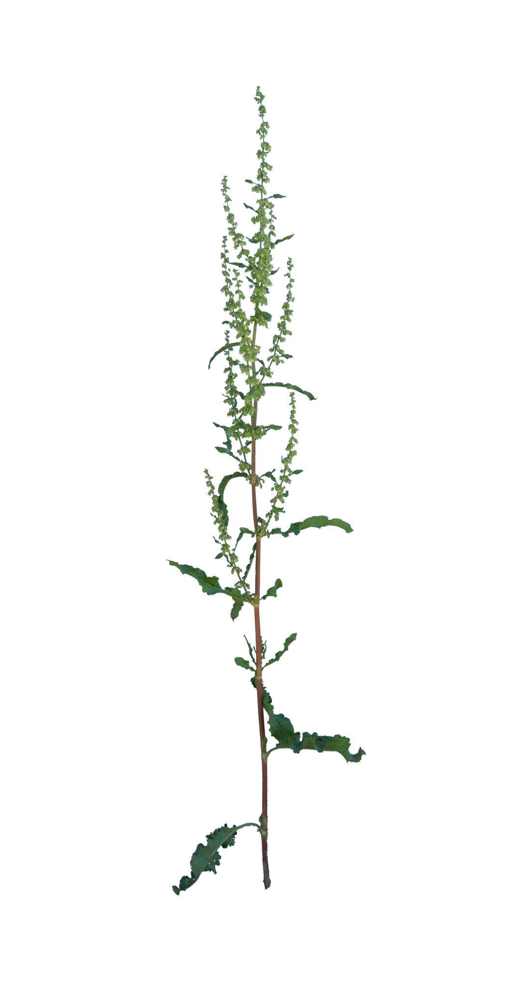 027 — Скачать
