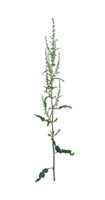 027 — Скачать