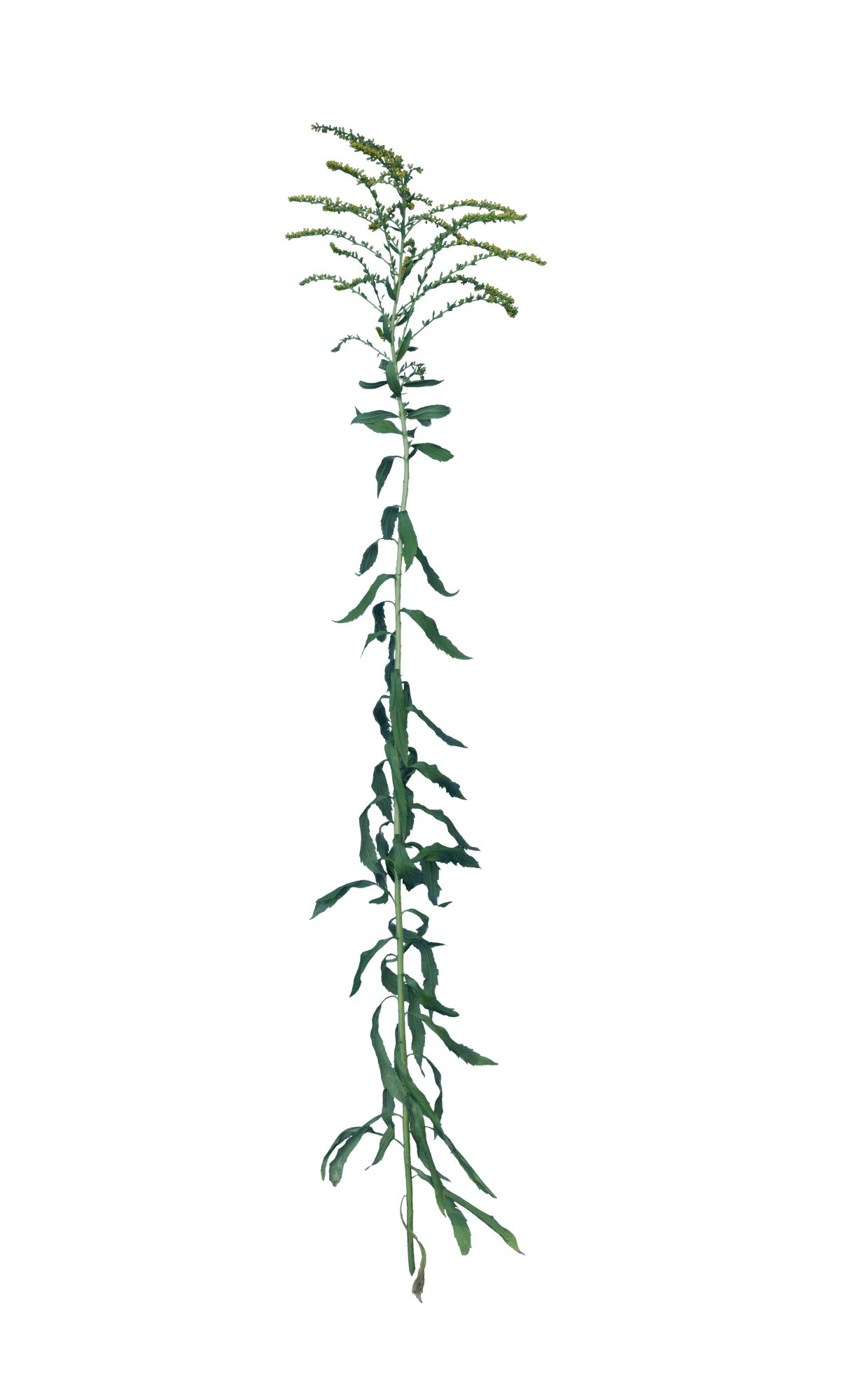 033 — Скачать