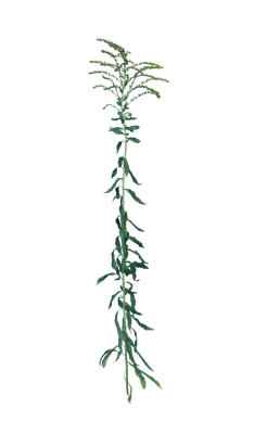 033 — Скачать