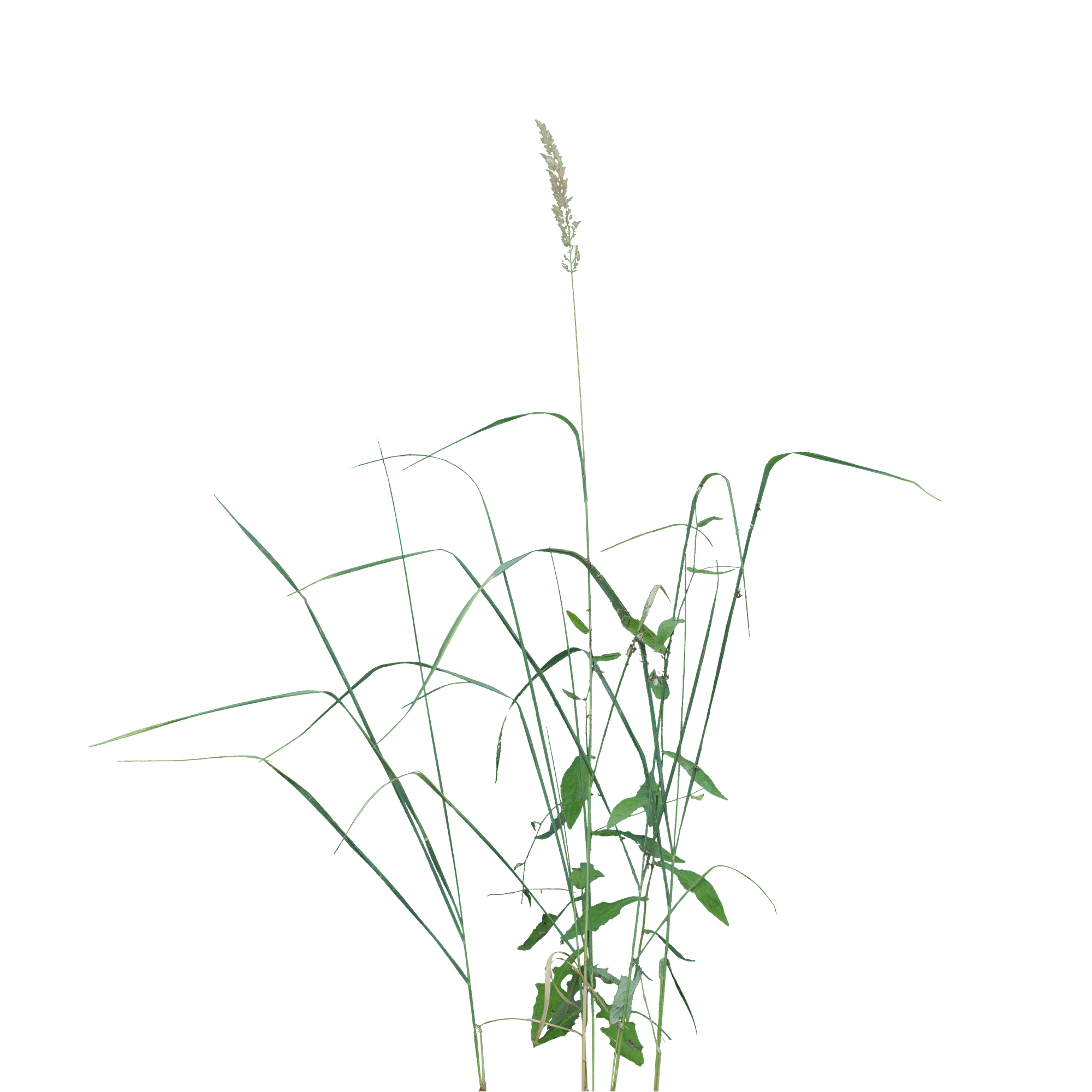 045 — Скачать