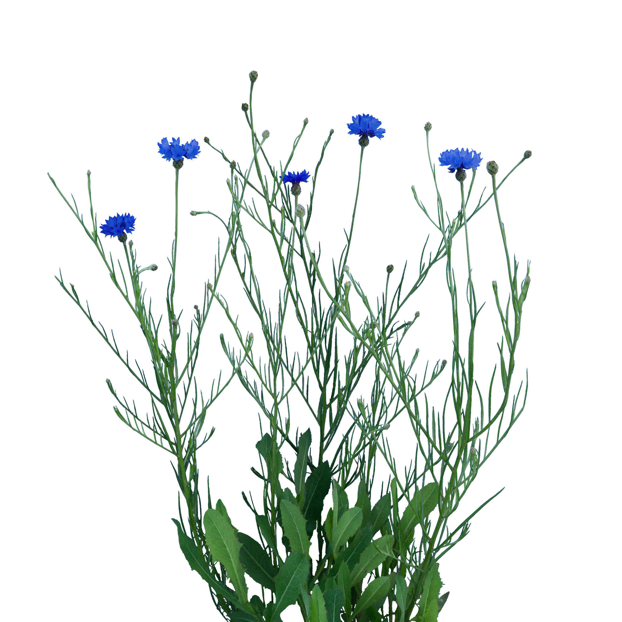 047 — Скачать