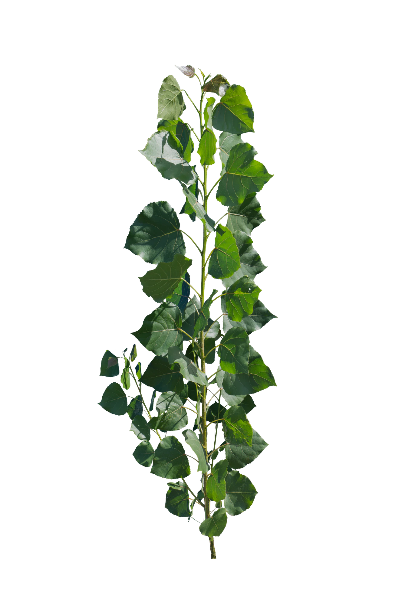 052 — Скачать