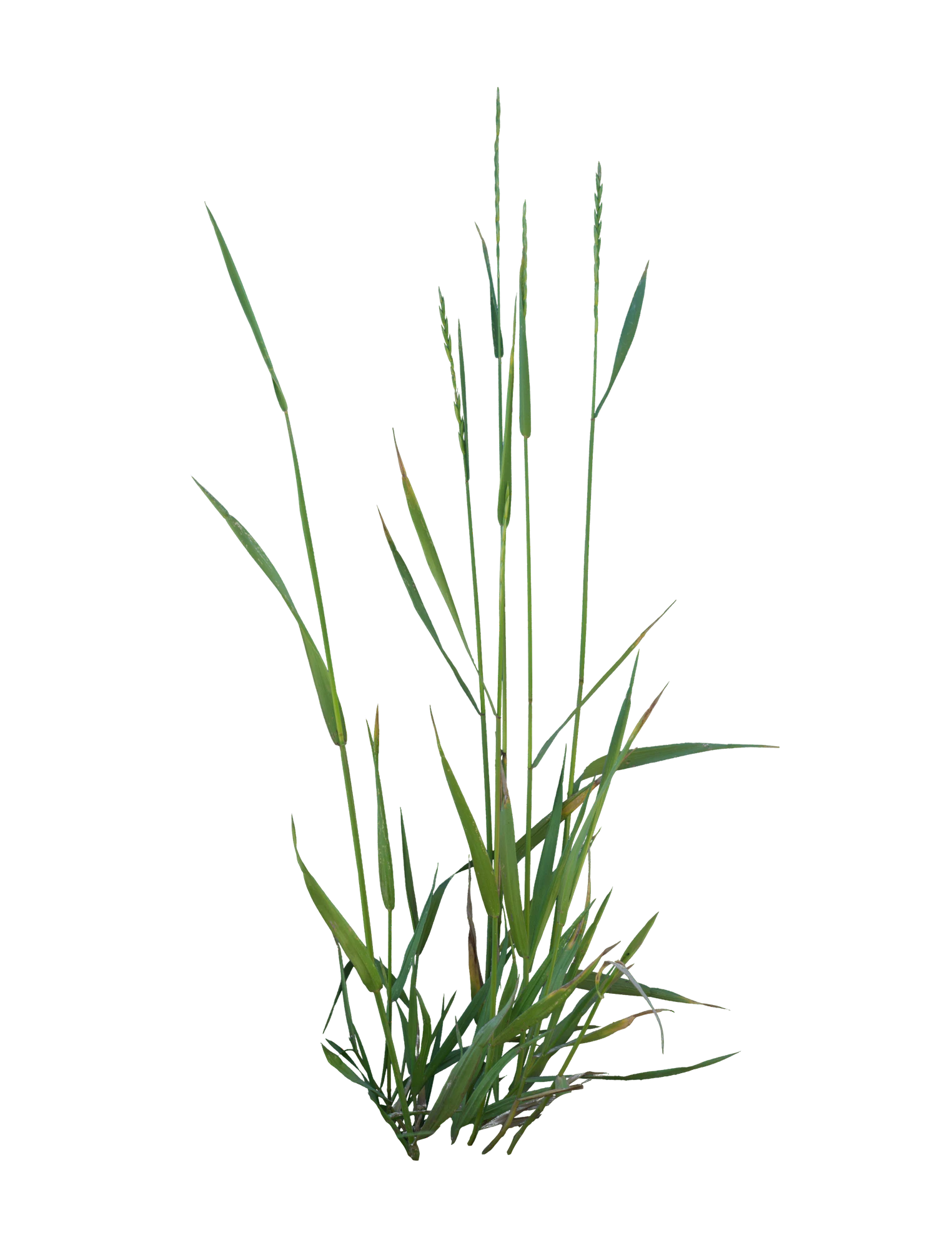 056 — Скачать