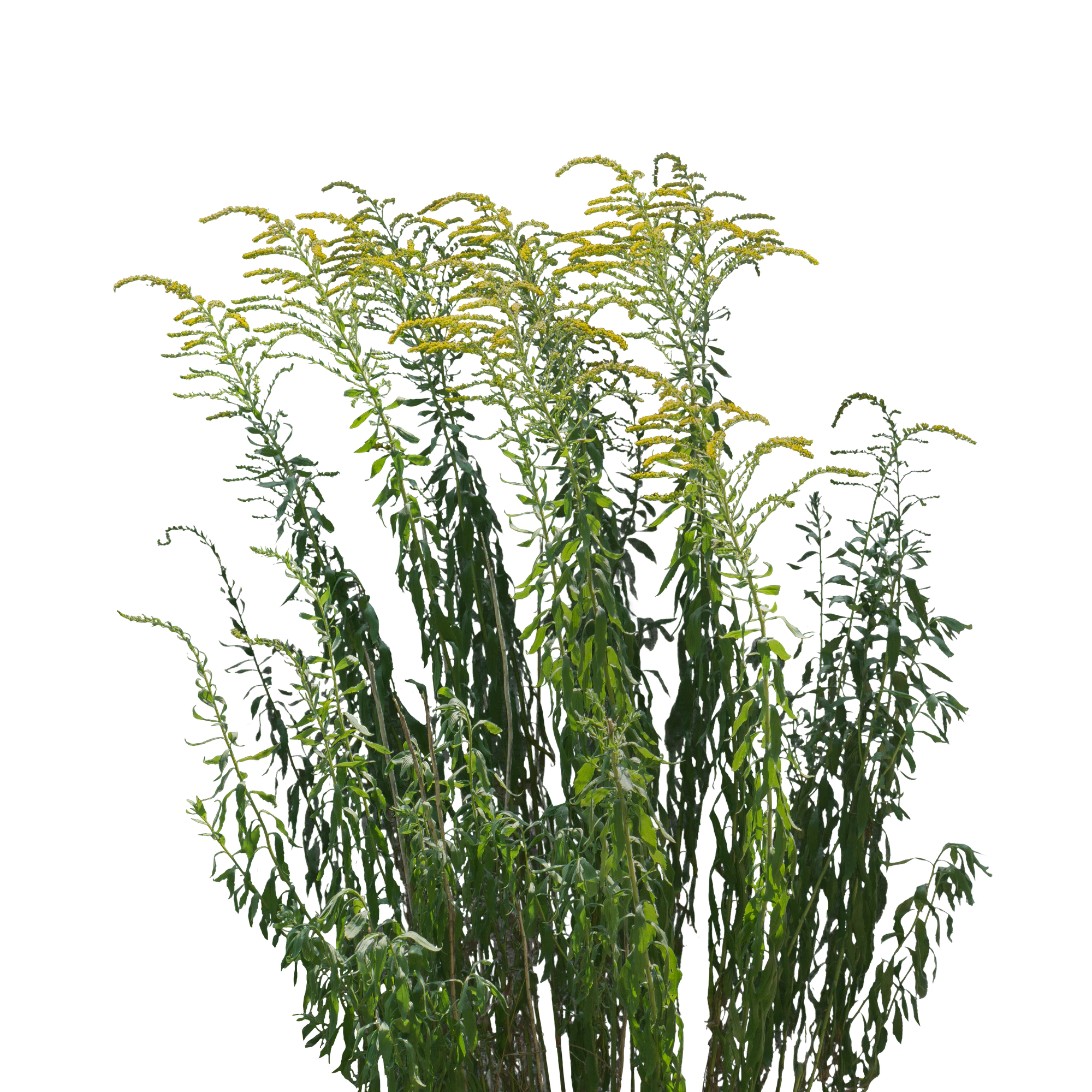 057 — Скачать