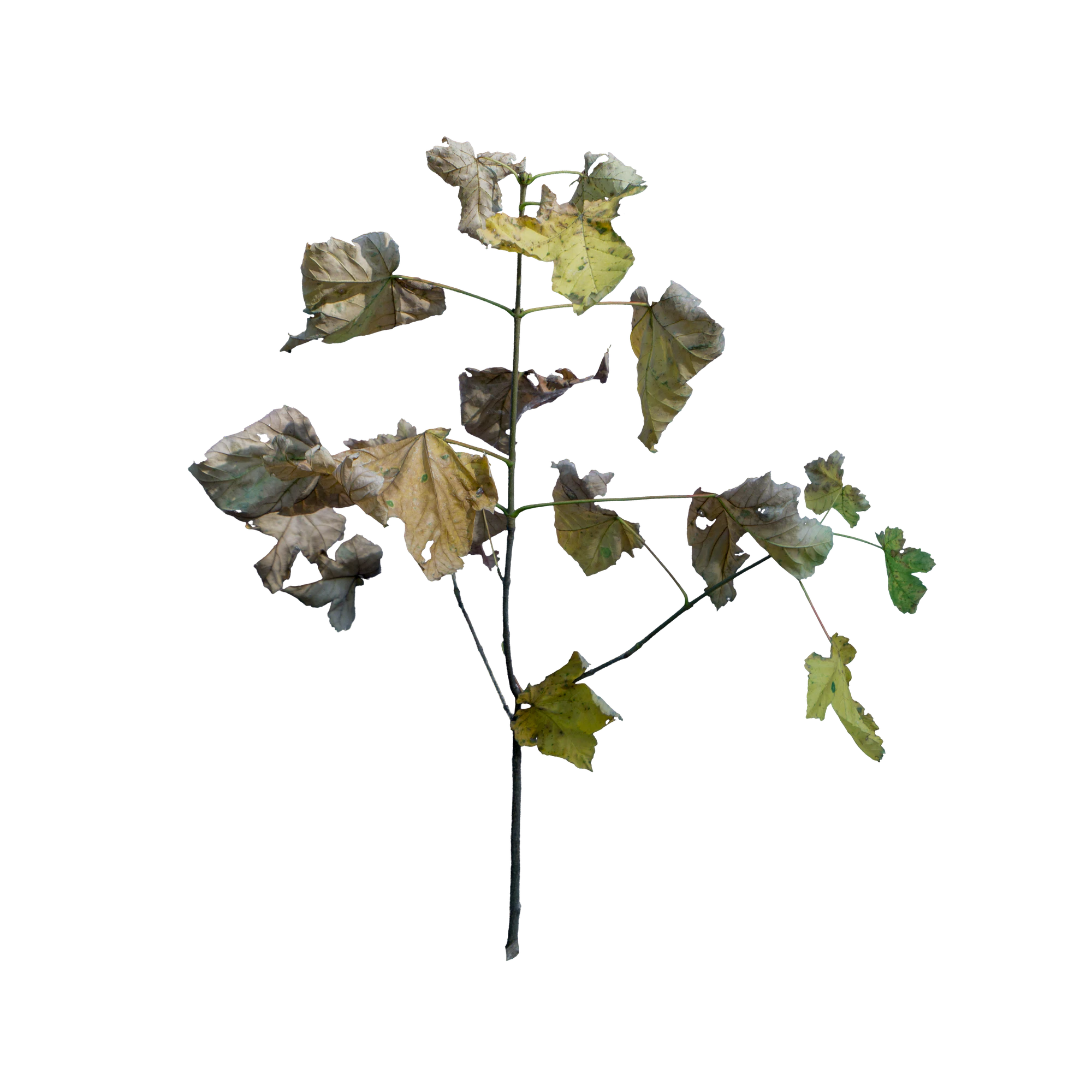 060 — Скачать