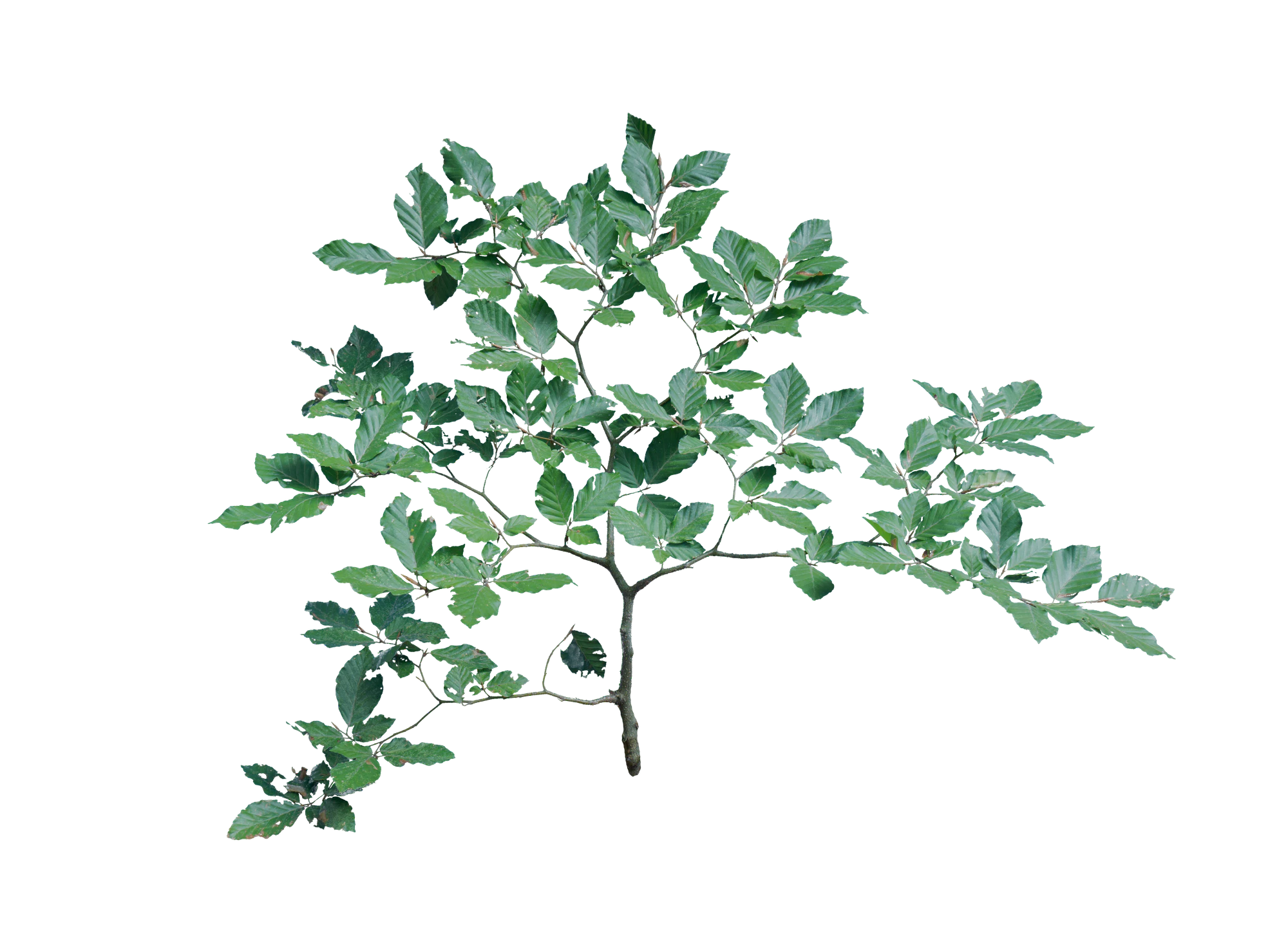 068 — Скачать