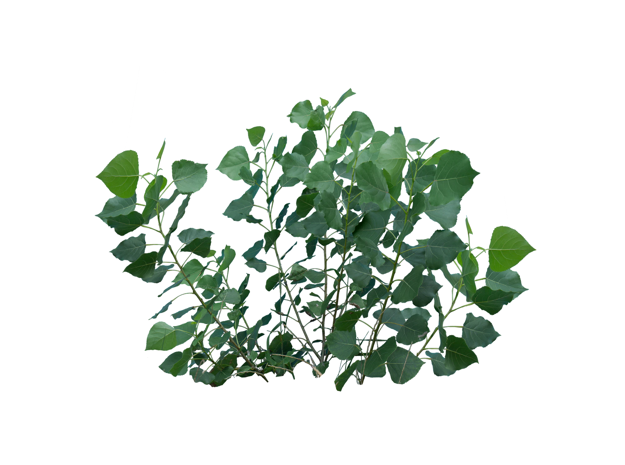 069 — Скачать