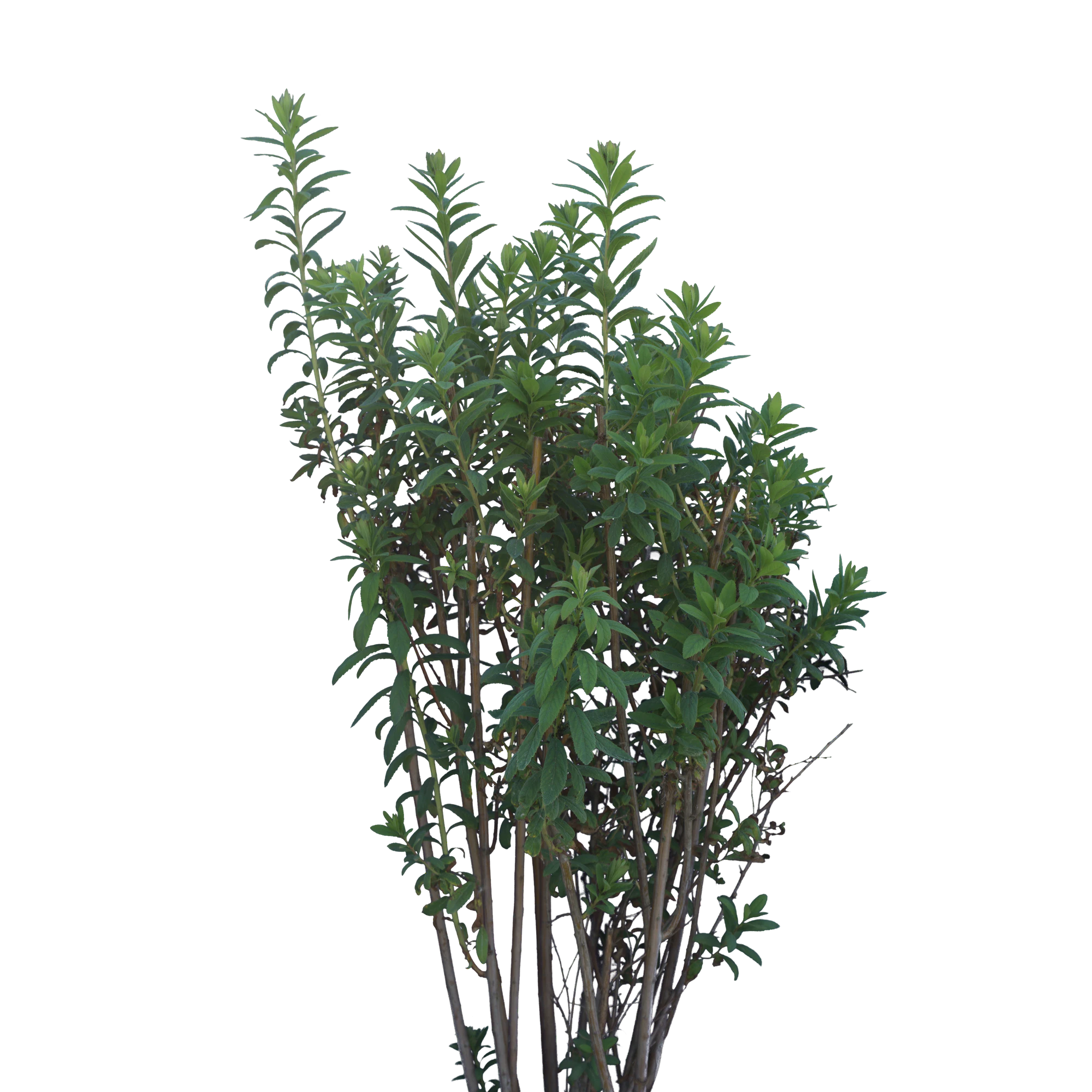 075 — Скачать