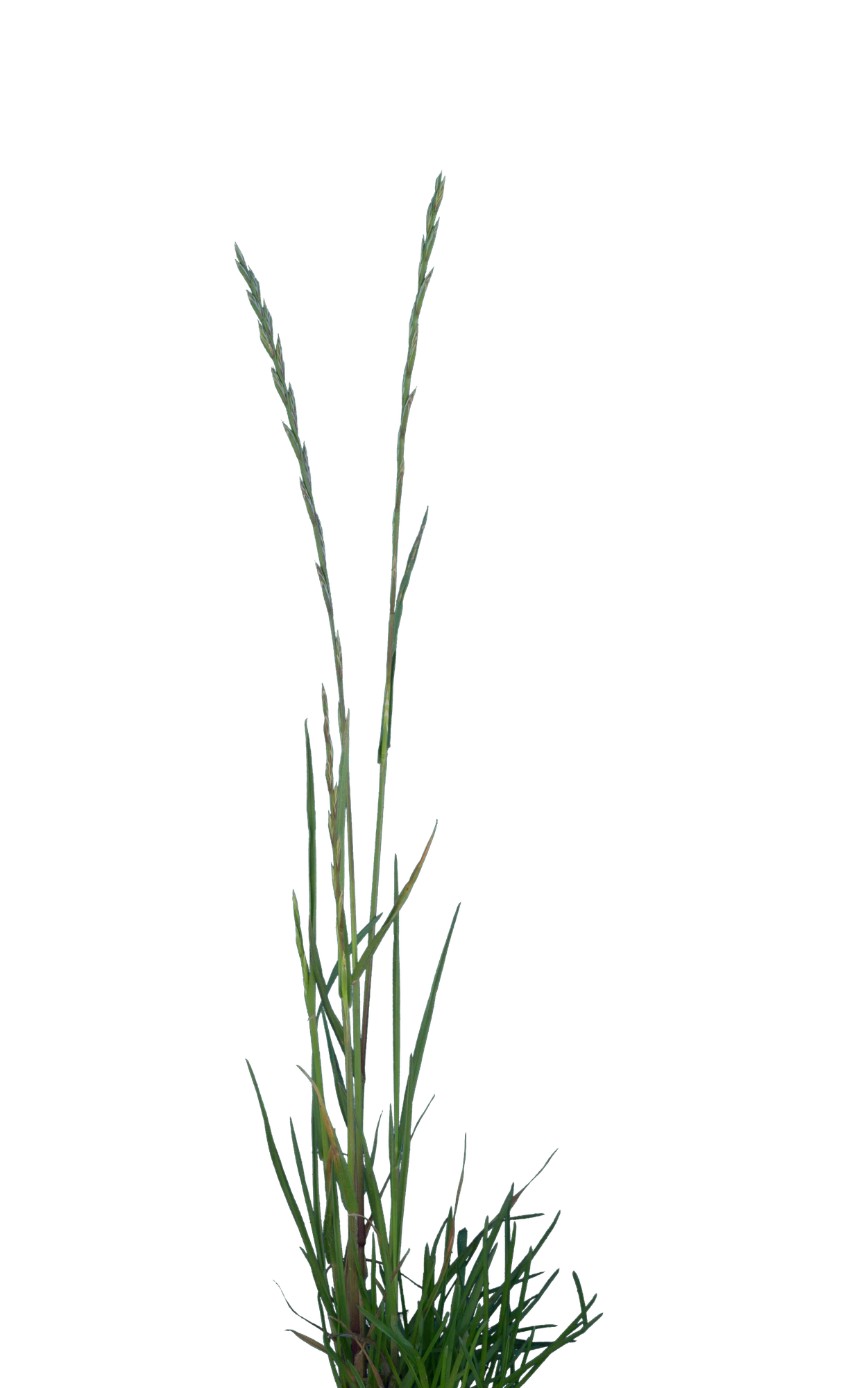 076 — Скачать