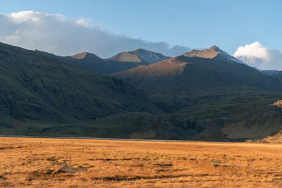 350 — скачать