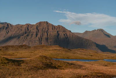 355 — скачать