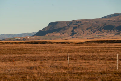 361 — скачать