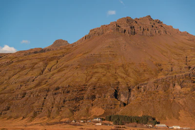 365 — скачать