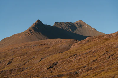 369 — скачать