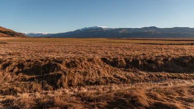 373 — скачать