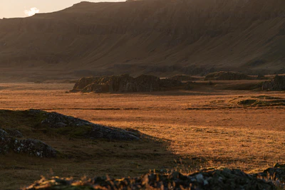 376 — скачать