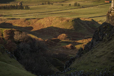 037 — Скачать