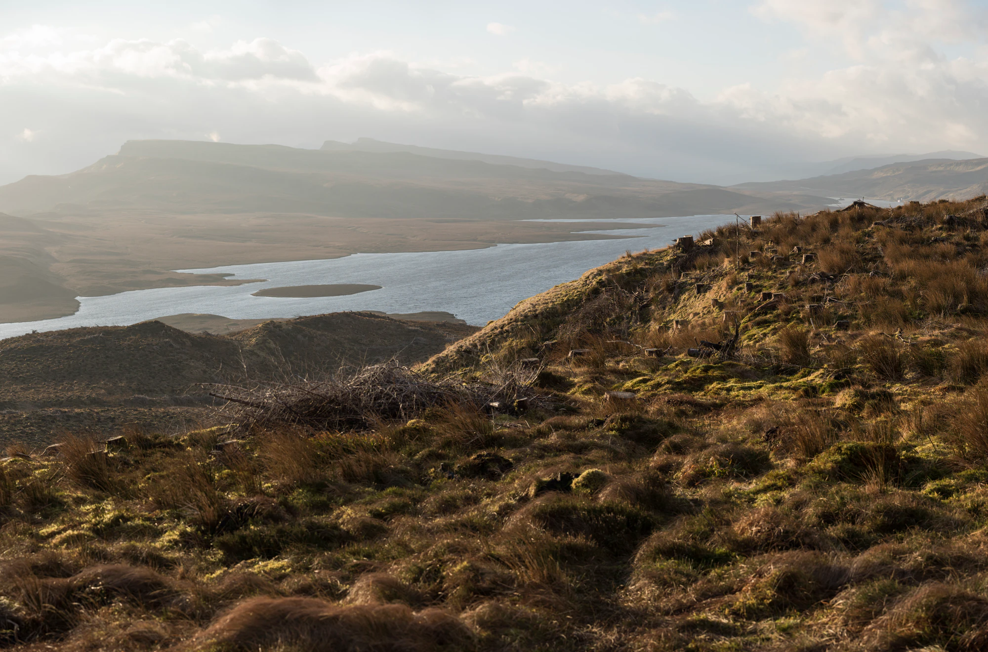 258 — Скачать