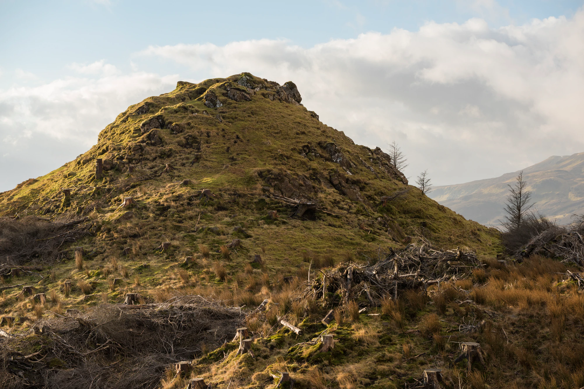 263 — Скачать