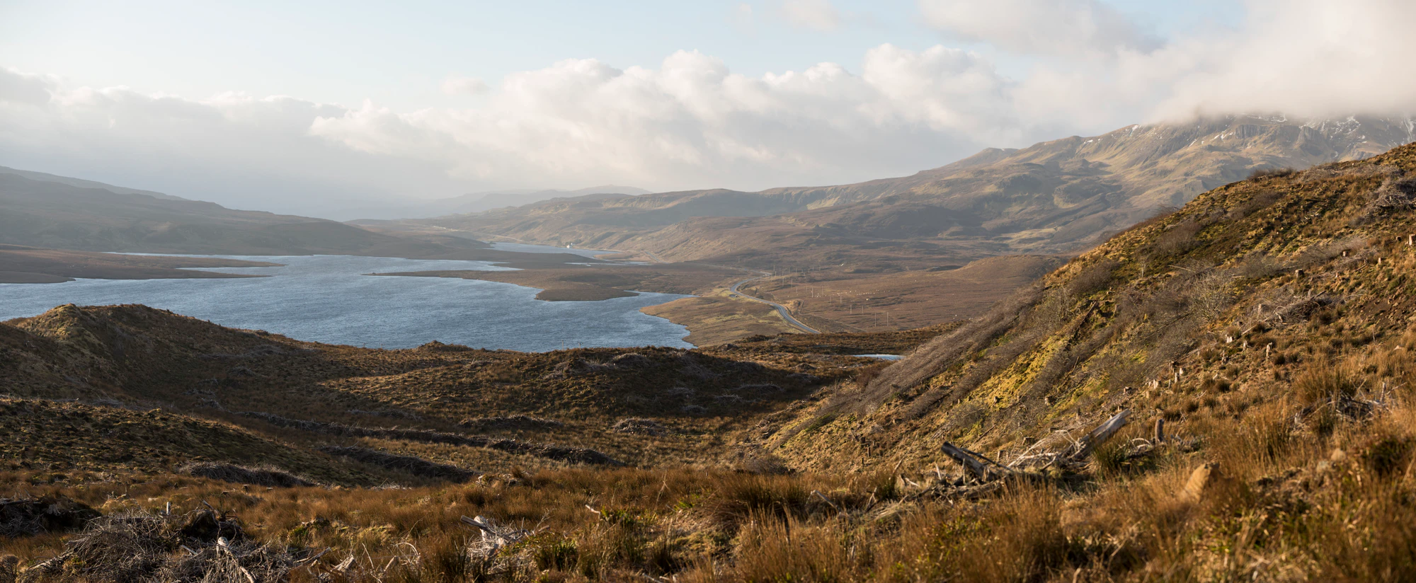 277 — Скачать