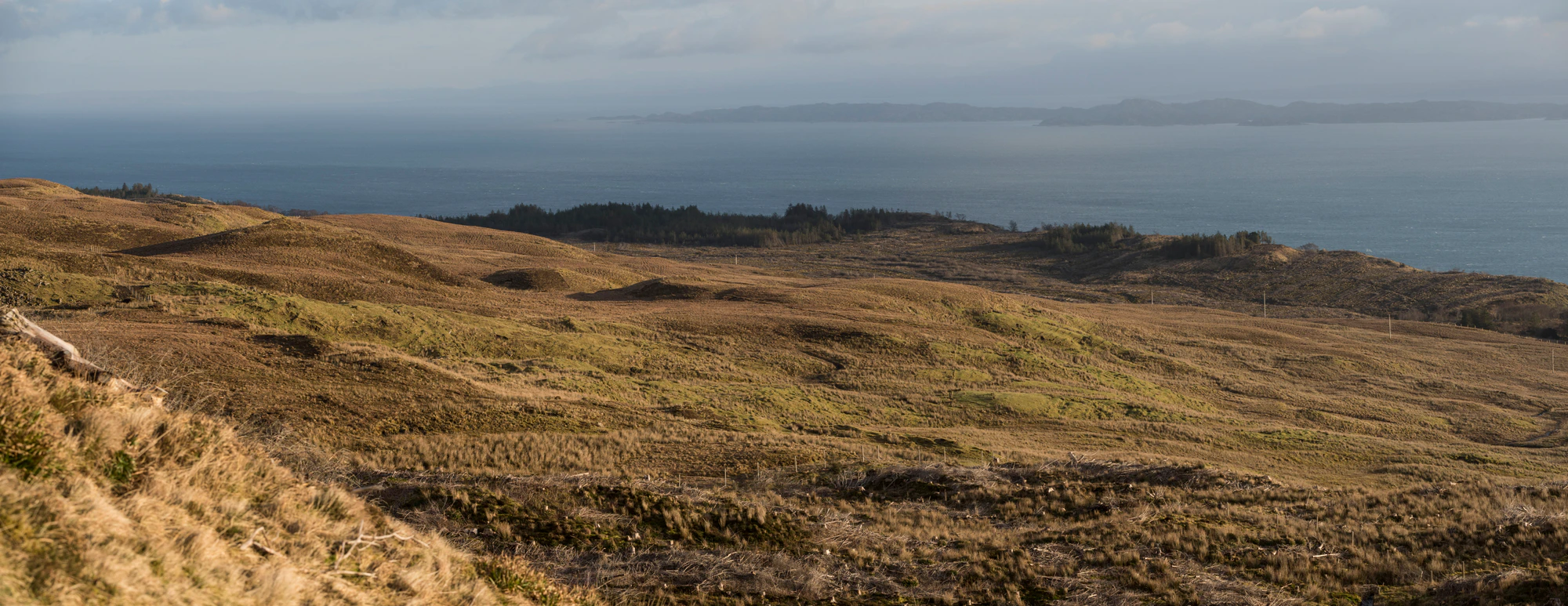 278 — Скачать